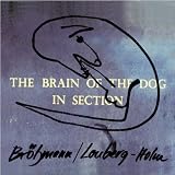 The Brain Of The Dog In Section