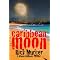 99¢ - FREE Awesome New KINDLE BOOKS For Less Than a Buck !!!