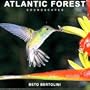 Atlantic Forest-16