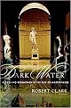 Dark Water (Flood and Redemption in the City of Masterpieces) (Hardcover)