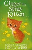 Ginger the stray kitten
