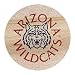 University of Arizona Sandstone Coasters - Set of Four by Thirstystone