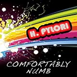 Comfortably Numb