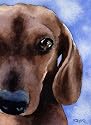 "Dachshund" Dog Art Print Signed by Artist DJ Rogers