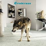 Grinderman 2 [����t/�{�[�i�X�g���b�N2�Ȏ��^/������] (BRC274)