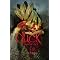 Zombie Books I Wish Were on Kindle