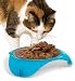 Smartcat Elevated Shallow Food Dish 5 oz Wet Food Bowl Blue