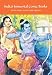 India's Immortal Comic Books: Gods, Kings, and Other Heroes (Contemporary Indian Studies)