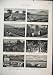 1877 COFFEE CULTIVATION GUATEMALA AMERICA TREE PLANTS