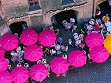 Umbrellas of Cafe, Innsbruck, Austria Photographic Poster Print by Chris Mellor, 56x42