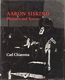 Aaron Siskind: Pleasures and Terrors
