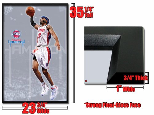 Framed Detroit Pistons Richard Hamilton Poster Fr4630