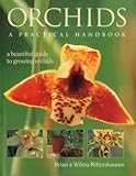 Orchids : a practical handbook : a beautiful guide to growing orchids