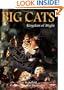 Big Cats (Wildlife)
