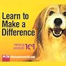 Helping Animals 101: Learn to Make a Difference