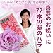 ◆喜寿(77歳)のお祝いに77本の紫のバラ◆77本の「ありがとう」を贈ります♪豪華ラッピング無料メッセージカード付(茎の長さ50cm×77本)