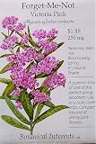 Cheap  forgetmenot seeds-Forget-Me-Not Victoria Pink Seeds 400 Seeds