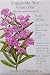 Forget-Me-Not Victoria Pink Seeds 400 Seeds