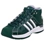 adidas Men's Pro Model 08 Team Color Basketball Shoe,Forest/Forest/Silver,9 M US