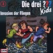003/Invasion der Fliegen