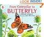 From Caterpillar to Butterfly  (Let's-Read-and-Find-Out Science, Stage 1)