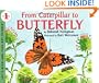 From Caterpillar To Butterfly