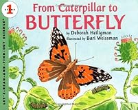 From Caterpillar to Butterfly