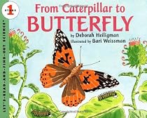From Caterpillar to Butterfly (Let's-Read-and-Find-Out Science, Stage 1)