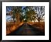 A Corrugated Dirt Road Through Farm Land in the Western District, Noorat, Victoria, A...