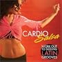 Cardio Salsa