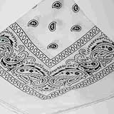 White Bandana with Black square Paisley pattern ON BOTH SIDES