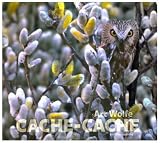 Cache-cache