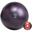 GoFit 65cm Professional Stability Ball