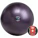 Search : GoFit 65cm Professional Stability Ball