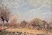 Apple Trees in Flower, Spring Morning