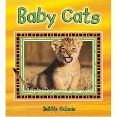 Baby Cats (It's Fun to Learn about Baby Animals)