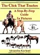 The Click That Teaches: A Step-By-Step Guide in Pictures