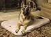 Precision Pet® Snoozy Ortho Air Therapeutic Inflatable Pet Bed, XL