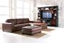 Contemporary Brown 100% Leather Sectional Sofa