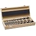 22-Piece Forstner Bit Set