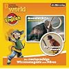 Marvi H�mmer: Der Steinzeit-Mensch/Mammut & Co.: BD 20