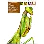 Les mantes religieuses et les phasmes de M. Salemi