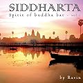 Siddharta Vol.2