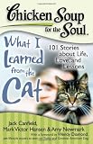 What I Learned from the Cat