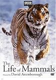 Review BBC Warner  / The Life of Mammals - The Complete Series