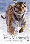 Life of Mammals, the