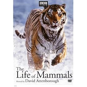 The Life of Mammals - The Complete Series [VHS]