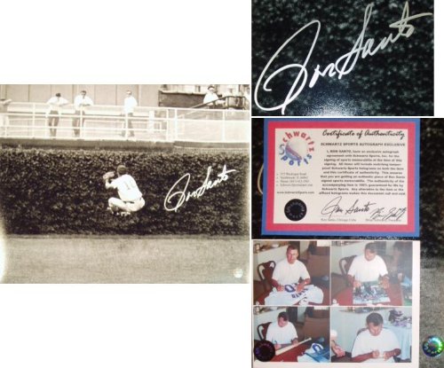 Ron Santo Chicago Cubs - Heel Click - Black and White Autographed 16x20 Photograph