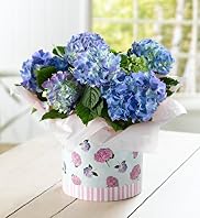 Hydrangea Hat Box