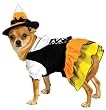 Dog Costumes - Candy Corn Witch Dog Costume Medium Dog